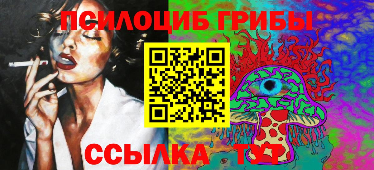 Псилоцибиновые грибы Cubensis Видное