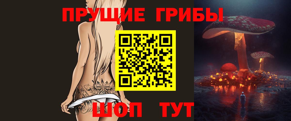 Видное  Галлюциногенные грибы GOLDEN TEACHER  Вход с VPN 
